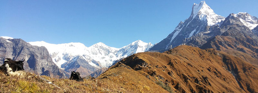 Mardi Himal Trek