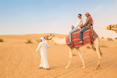 Why one should go for Evening Desert Safari?