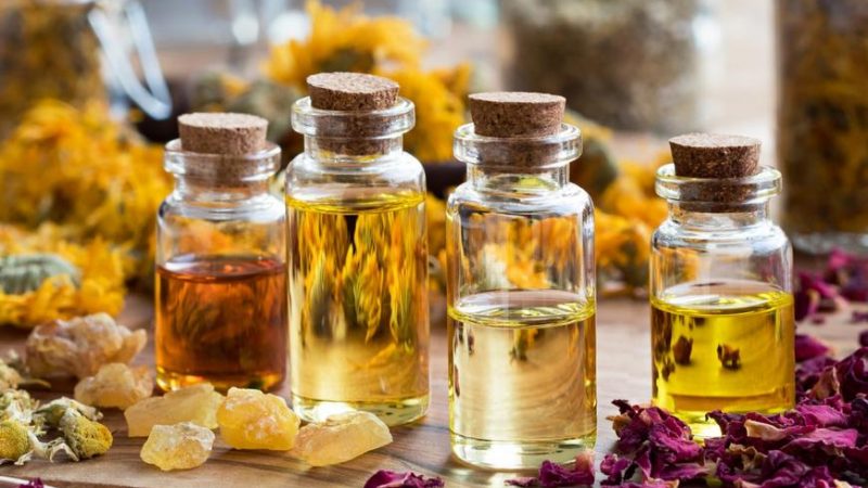 12 Best Fundamental Oils For Parasite Purging
