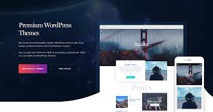 What things are included in premium wordpress themes?