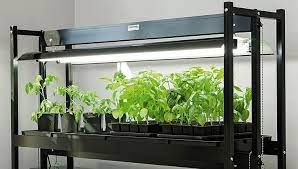 What are the types of plant grow lights? How to choose?