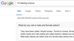 What happens when you type I am feeling curious about Google