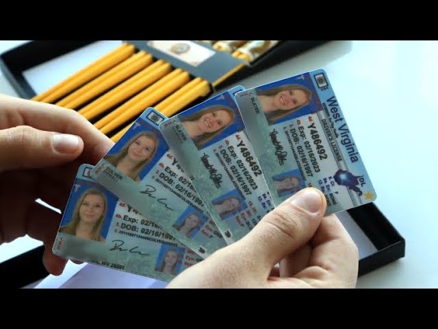 Bogus Braxtor Fake ID Review: Is This Legit?