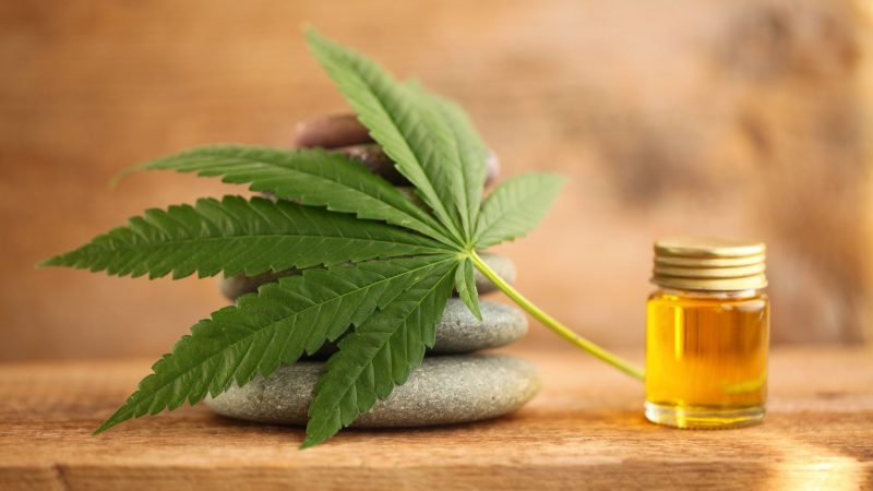 Can You Apply CBD Oil For Skin Nourishment?