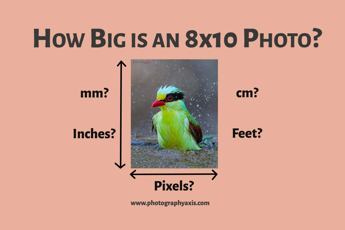 How Big is 8×10 Picture 2022