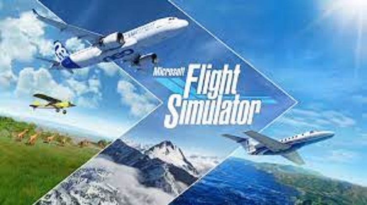 pixel 3xl Microsoft flight simulator