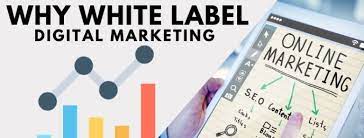 Why Start-Ups Should Partner With White-Label Digital Marketing Services