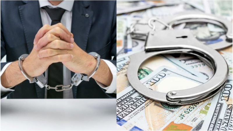 White Collar Crime: Everything You Need to Know About it