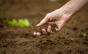 How to Improve Soil Quality Naturally