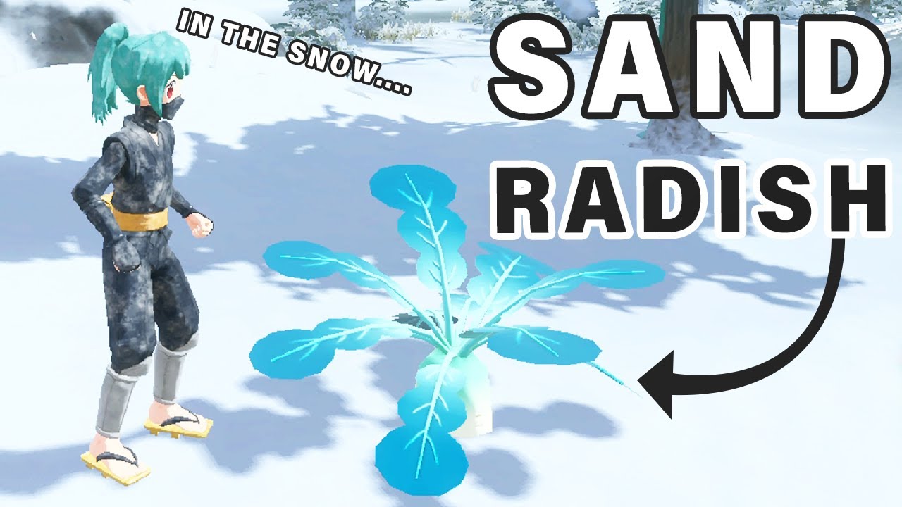 Sand Radish – Pokemon Legends: Arceus Wiki Guide