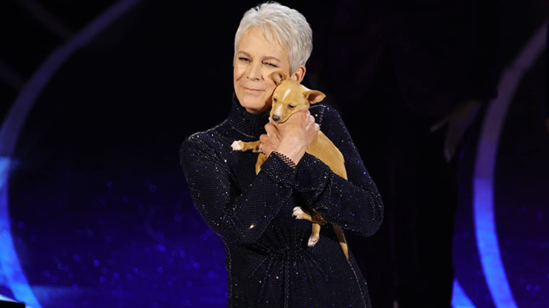 A Big Win for Gay Hollywood after Jamie Lee Curtis Oscar Nomination