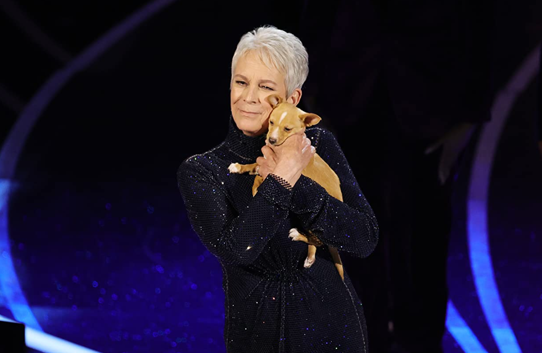 A Big Win for Gay Hollywood after Jamie Lee Curtis Oscar Nomination