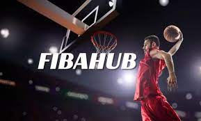 What is the fibahub ? All type information