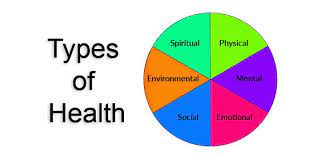 What are the types of health?