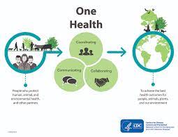 One Health is a collaborative, multisectoral, and transdisciplinary