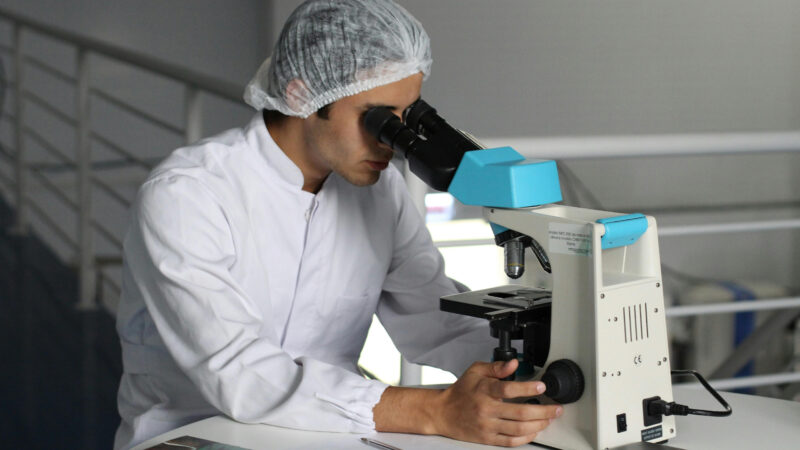 What are these audits and why more and more companies trust them?